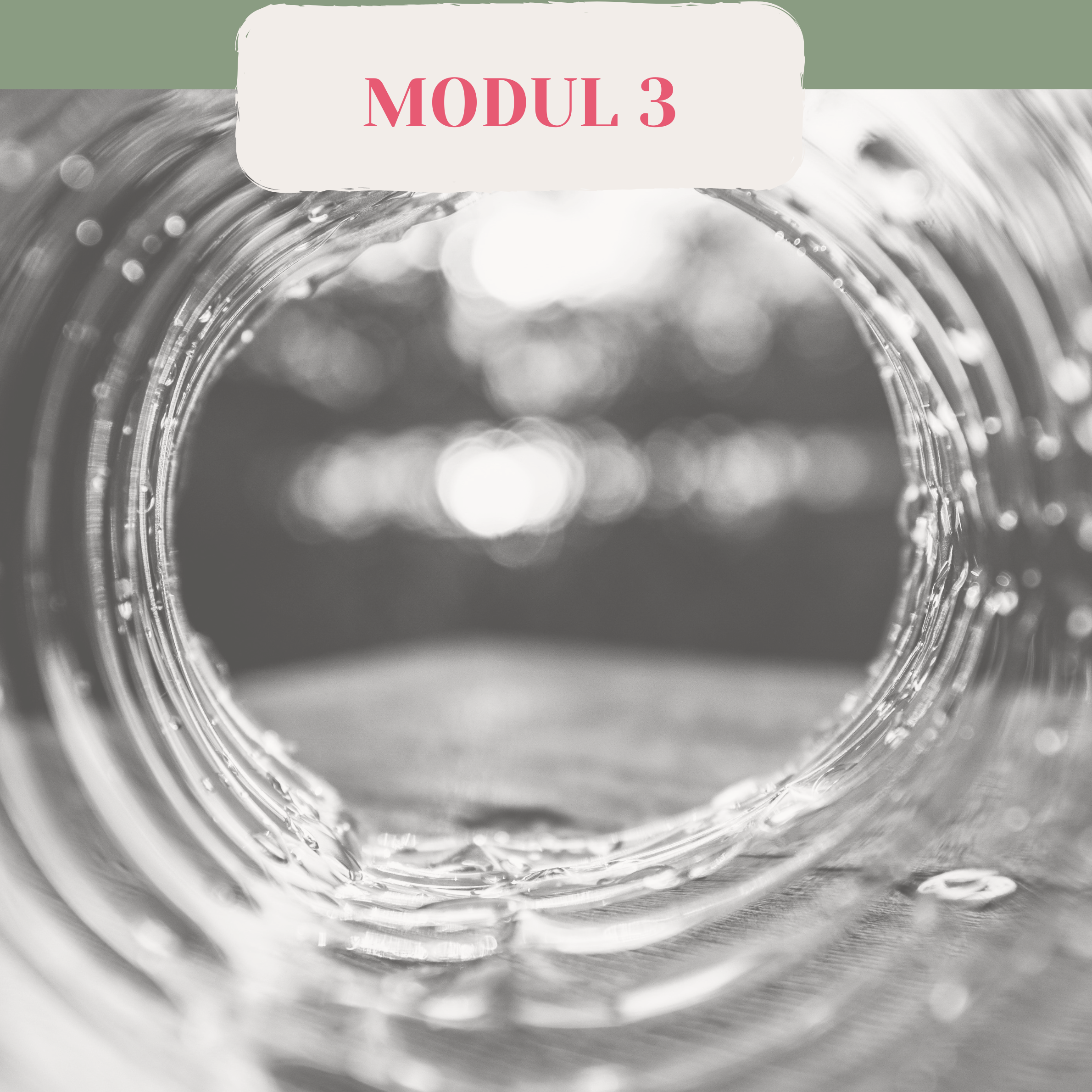 Neue Sichtweise Modul 4